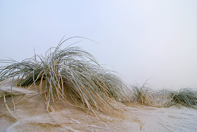 BUITEN BEELD Foto: 85174