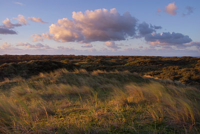 BUITEN BEELD Foto: 85176