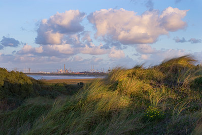 BUITEN BEELD Foto: 85182