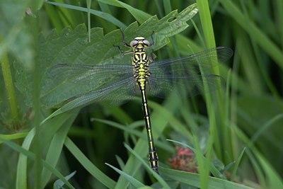 BUITEN BEELD Foto: 85207