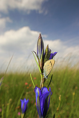 BUITEN BEELD Foto: 85211