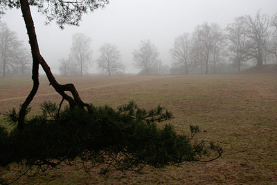 BUITEN BEELD Foto: 85251