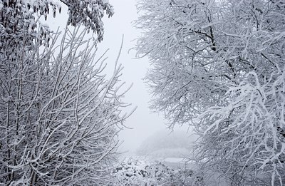 BUITEN BEELD Foto: 85313