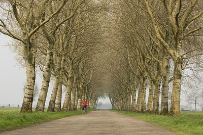 BUITEN BEELD Foto: 85432