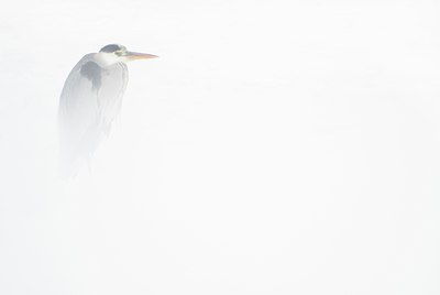 BUITEN BEELD Foto: 85452