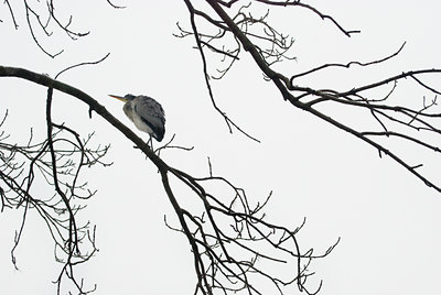 BUITEN BEELD Foto: 85455