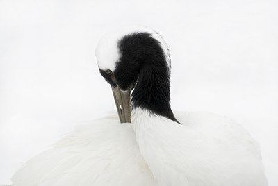 BUITEN BEELD Foto: 85467