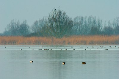 BUITEN BEELD Foto: 85565