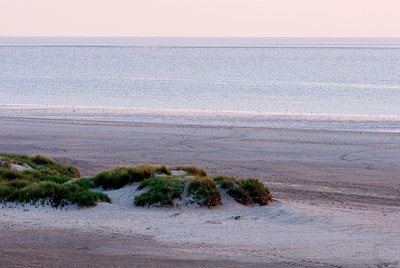 BUITEN BEELD Foto: 85574