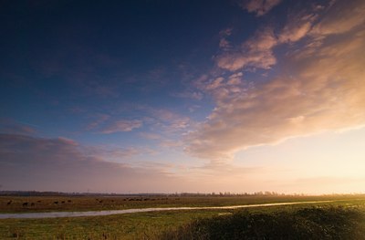 BUITEN BEELD Foto: 85584