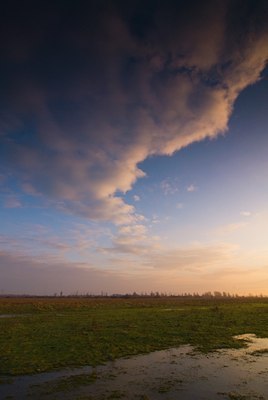 BUITEN BEELD Foto: 85585