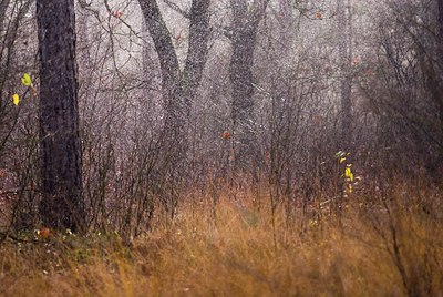 BUITEN BEELD Foto: 85605