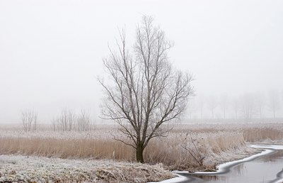 BUITEN BEELD Foto: 85615