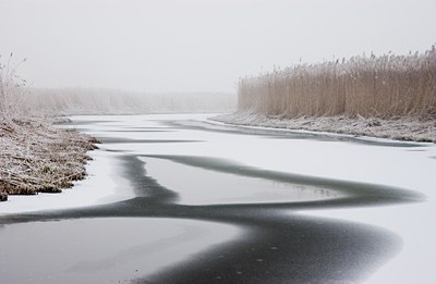 BUITEN BEELD Foto: 85617
