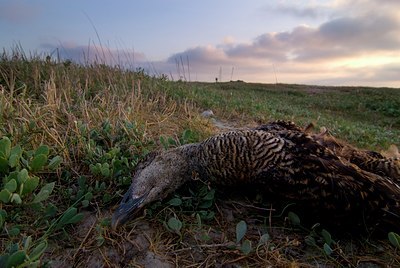 BUITEN BEELD Foto: 85625