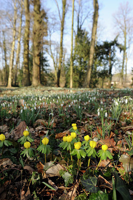 BUITEN BEELD Foto: 85690