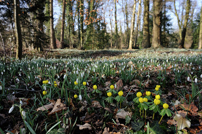 BUITEN BEELD Foto: 85691