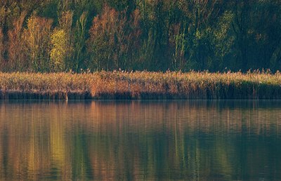 BUITEN BEELD Foto: 85716
