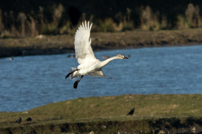 BUITEN BEELD Foto: 85773