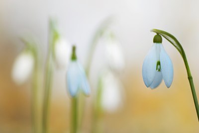 BUITEN BEELD Foto: 85806