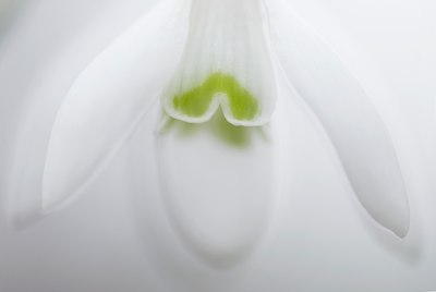 BUITEN BEELD Foto: 85819