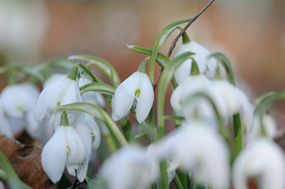 BUITEN BEELD Foto: 85820