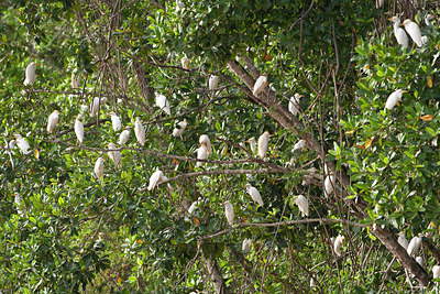 BUITEN BEELD Foto: 85849