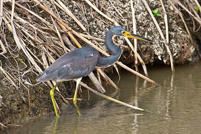 BUITEN BEELD Foto: 85861