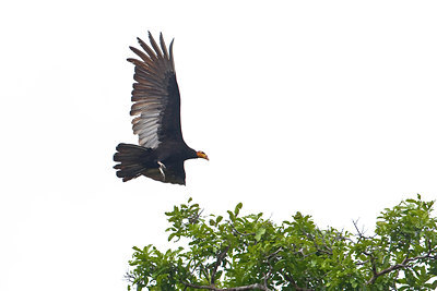 BUITEN BEELD Foto: 85866