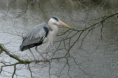 BUITEN BEELD Foto: 85875