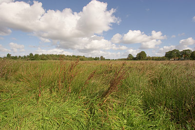 BUITEN BEELD Foto: 85885