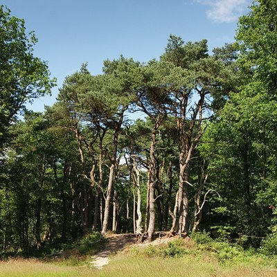 BUITEN BEELD Foto: 85893