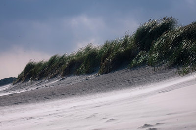 BUITEN BEELD Foto: 85949