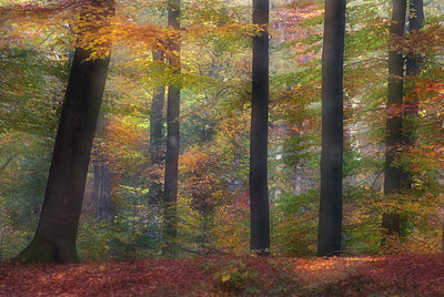BUITEN BEELD Foto: 86009