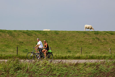 BUITEN BEELD Foto: 86039