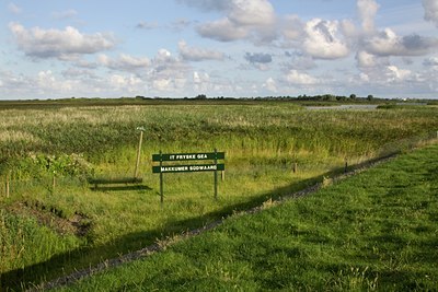 BUITEN BEELD Foto: 86051