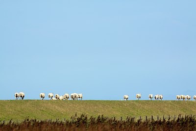 BUITEN BEELD Foto: 86060