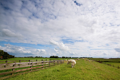 BUITEN BEELD Foto: 86068