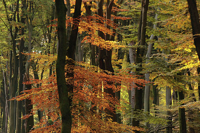 BUITEN BEELD Foto: 86103