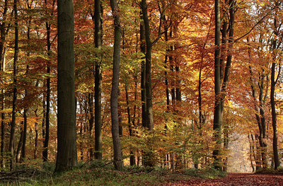 BUITEN BEELD Foto: 86107
