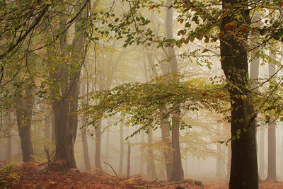 BUITEN BEELD Foto: 86109
