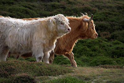 BUITEN BEELD Foto: 86151