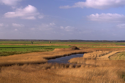 BUITEN BEELD Foto: 86154