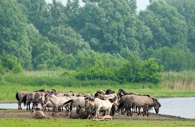 BUITEN BEELD Foto: 86176