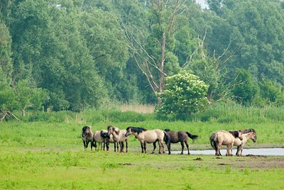 BUITEN BEELD Foto: 86177