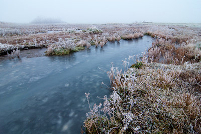 BUITEN BEELD Foto: 86179