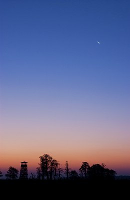 BUITEN BEELD Foto: 86224