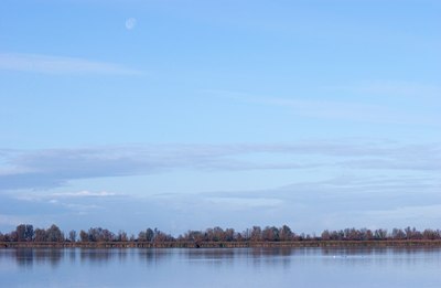 BUITEN BEELD Foto: 86226