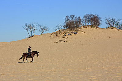 BUITEN BEELD Foto: 86291