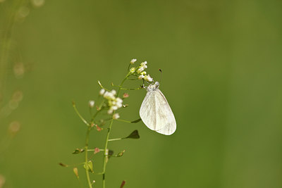 BUITEN BEELD Foto: 86307